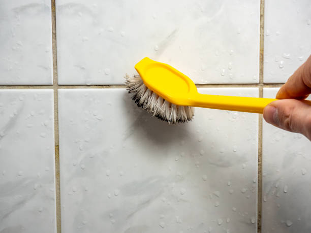 Best Emergency Mold Removal  in James City, NC