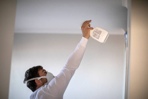 Best Fast Mold Removal  in James City, NC
