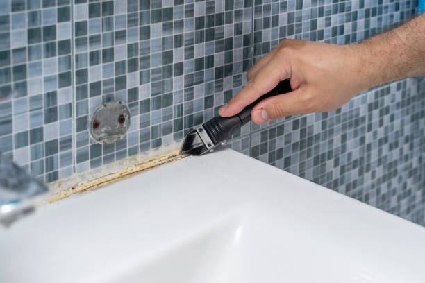 Best Same-Day Mold Removal  in James City, NC